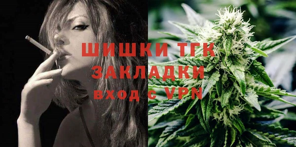 сатива Алзамай