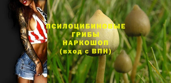 марихуана Абаза