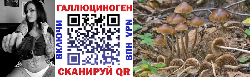 как найти наркотики  сайты даркнета телеграм  Галлюциногенные грибы прущие грибы  Усть-Катав 